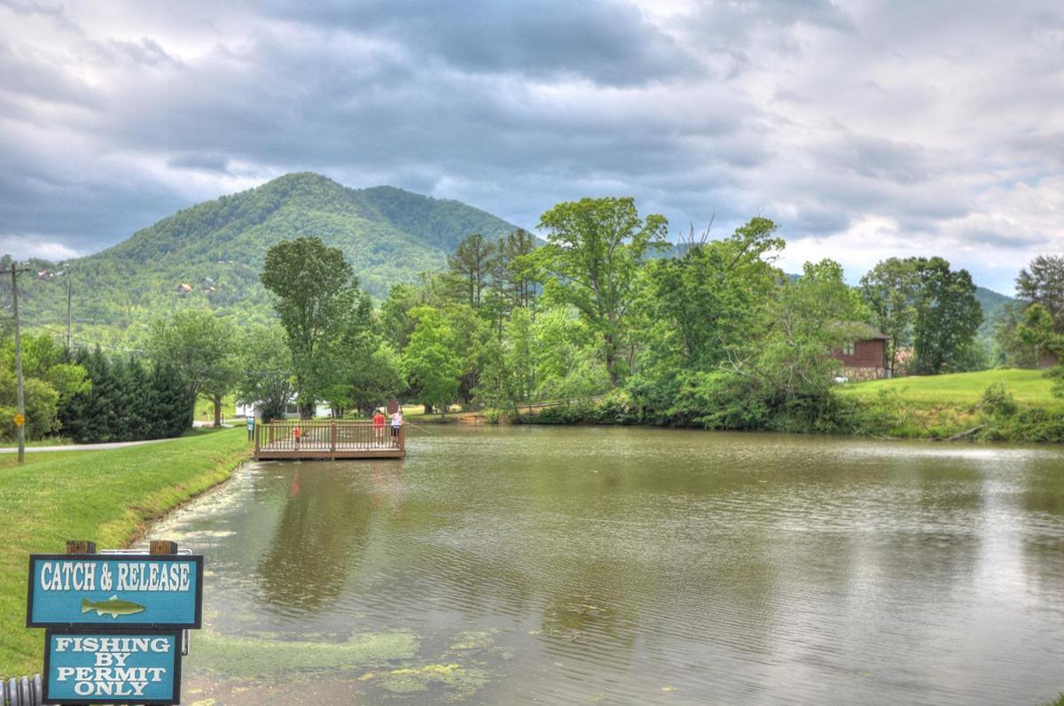 Bears Valley Inn - Great Location! - Peaceful, Children And Dog Friendly Retreat - Less Than 15 Min To All Attractions - Private Pool Club & Fishing Hole - Game Room With Tv Sevierville Buitenkant foto